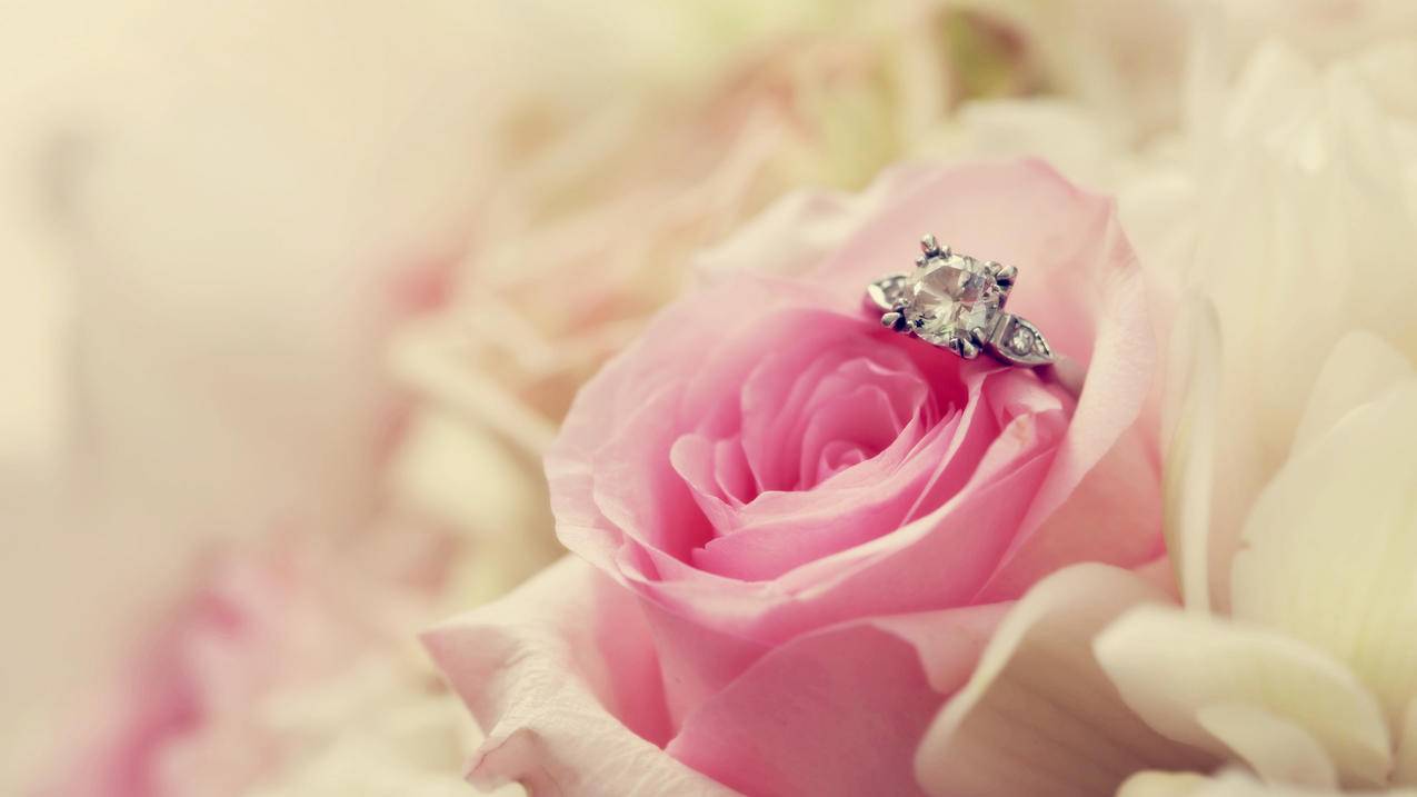 爱情美图唯美温馨玫瑰戒指浪漫高清壁纸