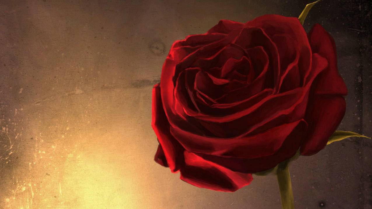 爱情美图唯美温馨玫瑰浪漫高清壁纸