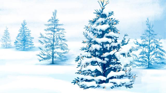 下雪的圣诞树,高清壁纸,摄影图片,静物写真