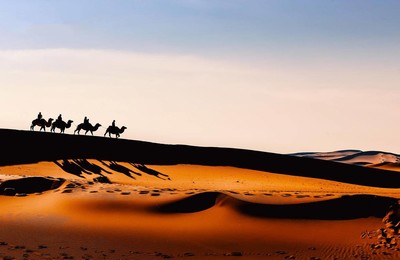 风景沙漠骆驼荒漠高清壁纸