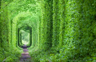 梦幻般的爱情隧道绿树和铁路风景带鱼屏壁纸