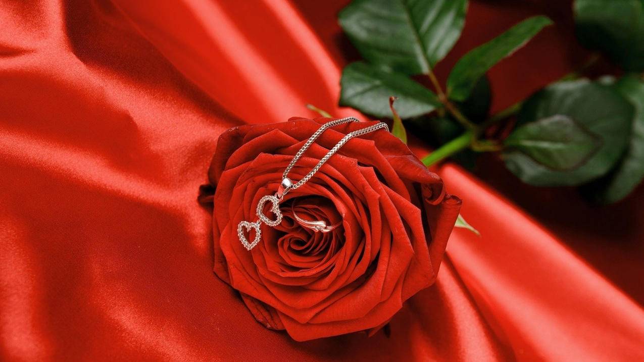 爱情美图唯美温馨玫瑰项链浪漫高清壁纸