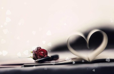 爱情美图唯美温馨玫瑰心高清壁纸