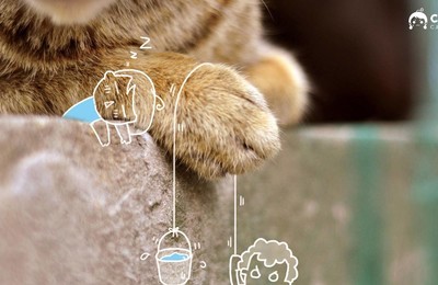 萌宠动物喵星人猫咪猫手绘恶搞可爱萌物高清壁纸