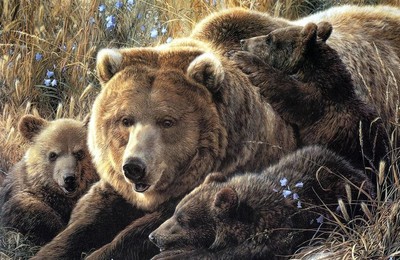 动物绘画风格熊高清壁纸