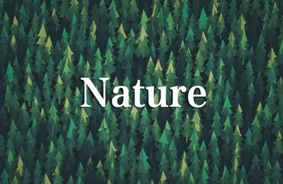 文字创意简约nature大自然高清壁纸