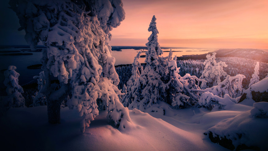 冬雪覆盖的树木高清壁纸图片 3840x2160